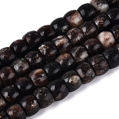 Natural Biotite Beads Strands&nbsp;G-Q616-02A-11