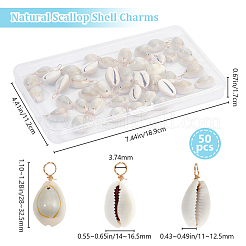 50Pcs Natural Cowrie Shell Pendants&nbsp;FIND-BBC0003-13