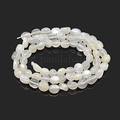 Natural White Moonstone Nuggets Beads Strands&nbsp;X-G-J335-45