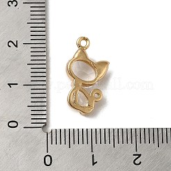 Crystal K9 Glass Pendants&nbsp;KK-F865-09G