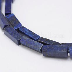 Natural Lapis Lazuli Beads Strands&nbsp;G-E342-11