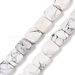 Natural Howlite Beads Strands&nbsp;G-T138-157