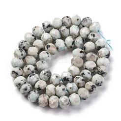 Natural Sesame Jasper Beads Strands&nbsp;G-K380-A08-01