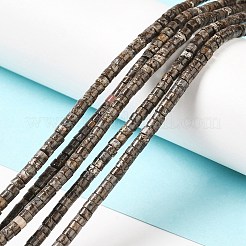 Natural Snowflake Obsidian Beads Strands&nbsp;G-E612-A07