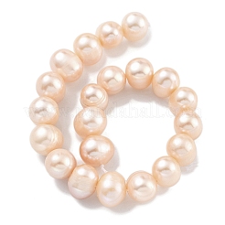 Natural Cultured Freshwater Pearl Beads Strands&nbsp;PEAR-C003-19B
