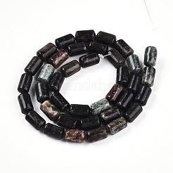 Natural Biotite Beads Strands&nbsp;G-N346-01B-02