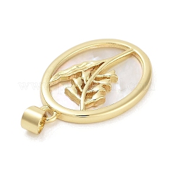 Rack Plating Brass Pave Shell Pendants&nbsp;KK-Z064-28G-06