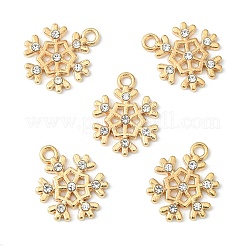 Alloy Pendants&nbsp;ALRI-YW0001-12