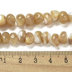 Natural Trochus Shell Beads Strands&nbsp;BSHE-G039-01A