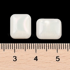 Opaque Resin Decoden Cabochons&nbsp;CRES-I036-09C