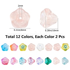 24Pcs 12 Colors Transparent Czech Glass Beads&nbsp;GLAA-SC0001-53