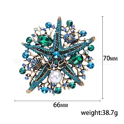 Alloy Brooches&nbsp;PW-WG38456-01
