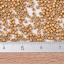 MIYUKI Delica Beads&nbsp;SEED-JP0008-DB1833F