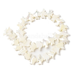 Natural Trochid Shell/Trochus Shell Beads Strands&nbsp;SSHEL-R145-04
