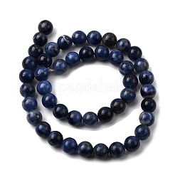 Natural Sodalite Beads Strands&nbsp;G-P582-8mm-02