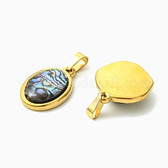 Natural Paua Shell & Acrylic  Pendants&nbsp;PALLOY-JF05942-01