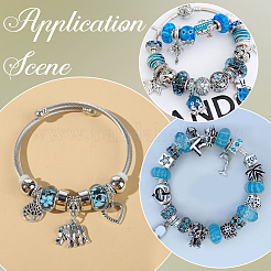 120Pcs Resin European Beads&nbsp;RPDL-SP0001-03