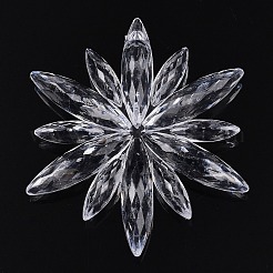 Transparent Acrylic Pendants&nbsp;TACR-T028-10A