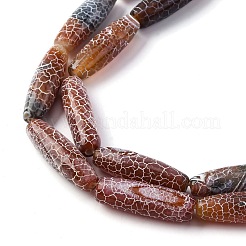 Natural Weathered Agate Beads Strands&nbsp;G-P570-C03-01