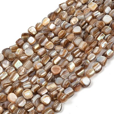 Natural Trochus Shell Beads Strands&nbsp;BSHE-Q050-01A-1