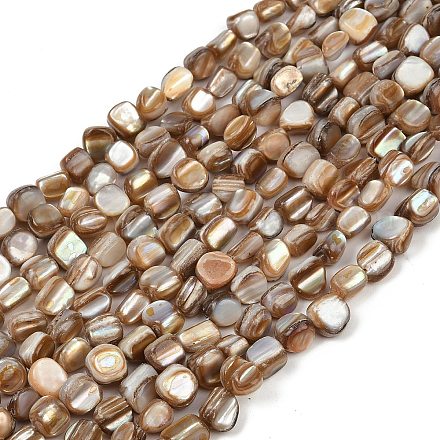 Natural Trochus Shell Beads Strands BSHE-Q050-01A-1