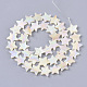 Freshwater Shell Beads Strands&nbsp;X-SHEL-N026-07B-2
