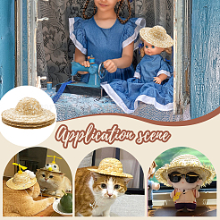 Doll Straw Hat&nbsp;DIY-WH0504-827D