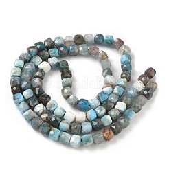 Natural Apatite Beads Strands&nbsp;G-RM250101-L2