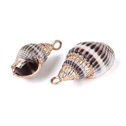Electroplate Spiral Shell Pendants&nbsp;SSHEL-S261-10