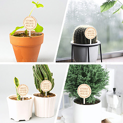 Wood Plant Labels&nbsp;DIY-GF0014-39B