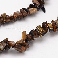 Chips Natural Tiger Eye Beads Strands&nbsp;G-N0164-66