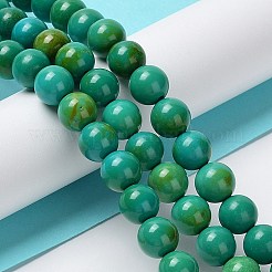 Natural Howlite Beads Strands&nbsp;G-E604-B05-B