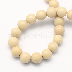 Natural Fossil Round Beads Strands&nbsp;X-G-S171-6mm