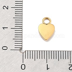 Ion Plating(IP) 304 Stainless Steel Pendants&nbsp;STAS-P379-25G