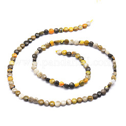 Natural Bumblebee Jasper Beads Strands&nbsp;G-E569-G01