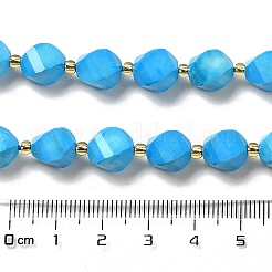 Dyed Natural Howlite Beads Strands&nbsp;G-G023-B01-01A