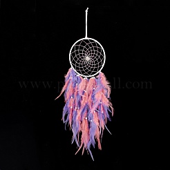Iron Woven Web/Net with Feather Pendant Decorations&nbsp;AJEW-B017-09