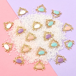40Pcs 4 Colors Eco-Friendly Zinc Alloy Pendants&nbsp;ENAM-CJ0002-30