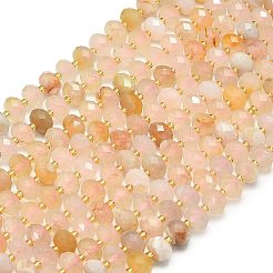 Natural Cherry Blossom Agate Beads Strands&nbsp;G-P573-A22-01