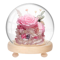 1Pc Glass Dome Cover&nbsp;DJEW-PH0001-40