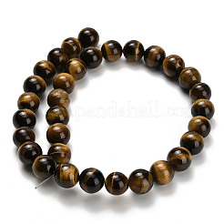 Natural Tiger Eye Beads Strands&nbsp;G-H329-C07-12mm