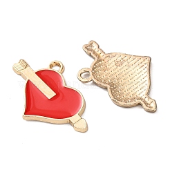 Alloy with Enamel Pendants&nbsp;FIND-Z111-05G-01