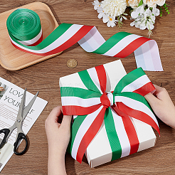 20Yards Polyester Ribbon&nbsp;OCOR-PH0006-51A