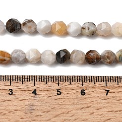 Natural Bamboo Leaf Agate Beads Strands&nbsp;G-Z119-A27-01