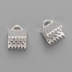Iron Ribbon Crimp Ends&nbsp;IFIN-ZX025-S