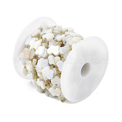 Butterfly Ion Plating(IP) 304 Stainless Steel Chains&nbsp;AJEW-Q150-03G-02
