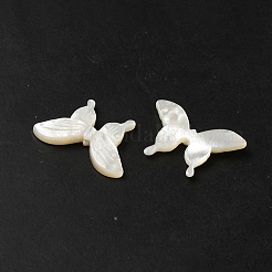 Natural White Shell Beads&nbsp;SHEL-M021-09B