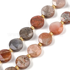Natural Fossil Coral Beads Strands&nbsp;G-C116-A27-01