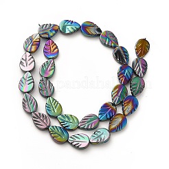 Electroplated Natural Freshwater Shell Beads Strands&nbsp;SHEL-G014-04