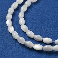 Natural Trochus Shell Beads Strands&nbsp;SSHEL-H072-02A